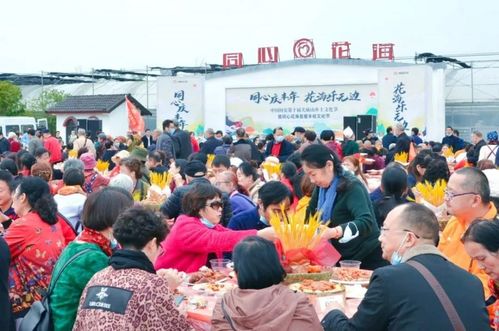 11月,宜昌有这些免费演出